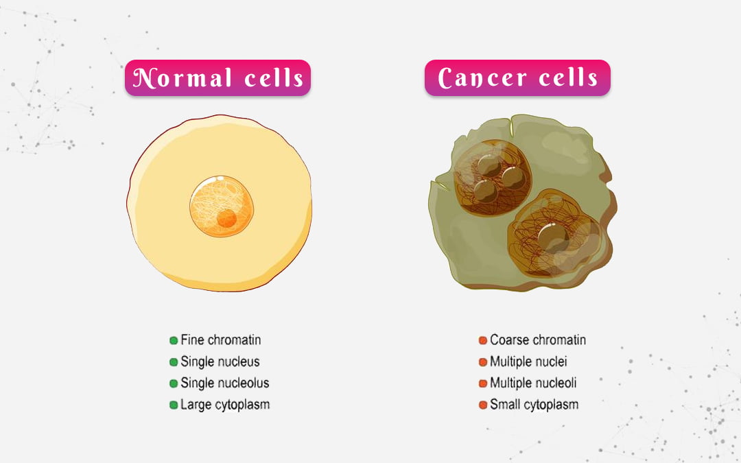 Cancer Cells Vs Normal Cells Under Microscope